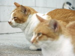PICT0122