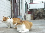 PICT0124r