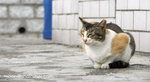 PICT0126R