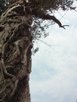 PICT0023r