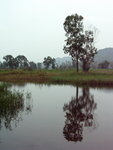 PICT0040r