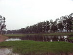 PICT0055r
