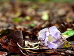 PICT0012