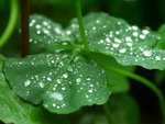 PICT0024r