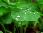 PICT0027r