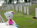 PICT0009R