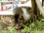 PICT0004r