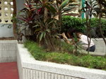 PICT0014