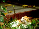PICT0044r