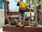 PICT0052