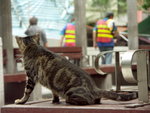 PICT0053