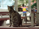 PICT0054