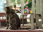 PICT0055
