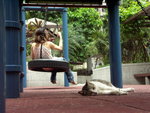 PICT0069