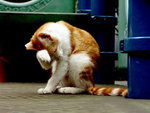 PICT0094R