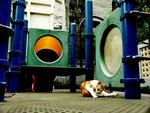 PICT0096r