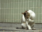 PICT0107c