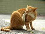 PICT0109