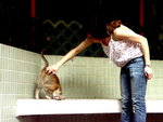 PICT0152r2