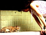 PICT0162R2