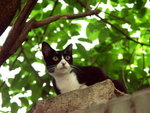 PICT0164