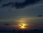 PICT0020