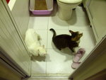 PICT0006
