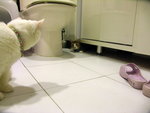 PICT0007
