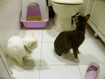 PICT0008