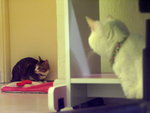 PICT0017
