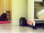 PICT0018