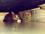PICT0027