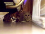 PICT0029