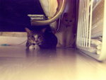 PICT0033