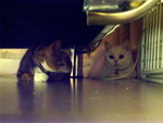 PICT0046r