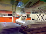 PICT0067r