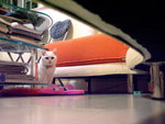 PICT0073r