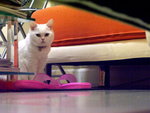 PICT0075r