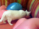 PICT0083