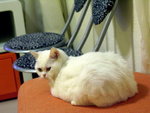 PICT0085r