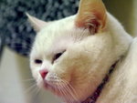 PICT0091R