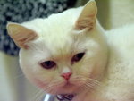 PICT0092R