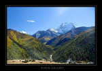 DSC_0981-1a