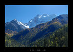 DSC_0990-1a