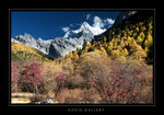 DSC_1090-1a