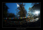 DSC_1091-1