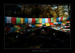 DSC_1092-1