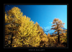 DSC_1096-1