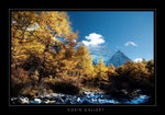 DSC_1109-1a