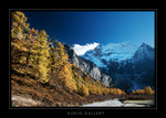 DSC_1114-1a